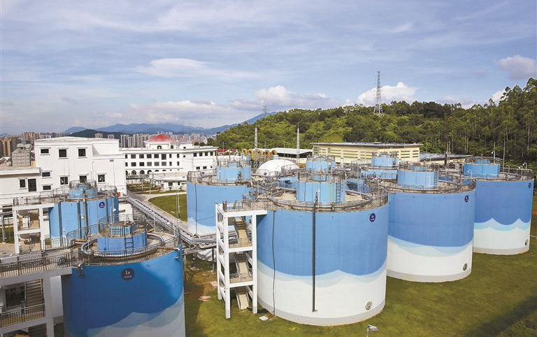 餐廚垃圾發電廠脫硝