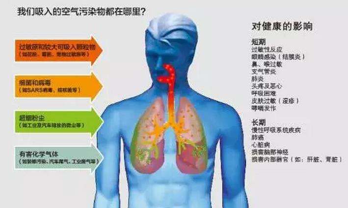黑煙凈化器
