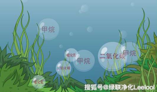 綠聯凈化